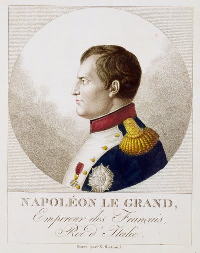 Portrait de Napoléon - Noel Francois Bertrand